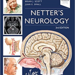 Netter's Neurology