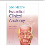 ESSENTIAL CLINICAL ANATOM 6E (INT ED) PB