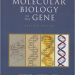 Molecular Biology of the Gene