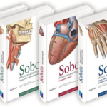 SOBOTTA - Atlas anatomije čoveka