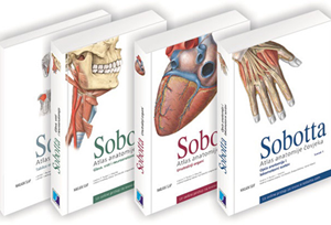 SOBOTTA - Atlas anatomije čoveka