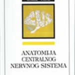 Anatomija centralnog nervnog sistema