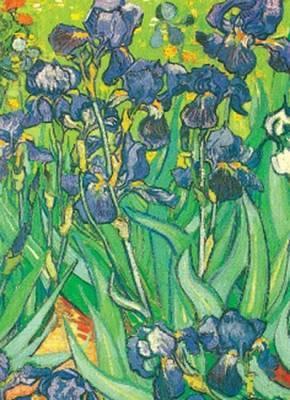 9780486406107 Van Gogh Notebook - Slika 1