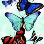 Butterfly Notebook