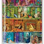 Aimee Stewart: a Stitch in Time Bookshelf (Blank Sketch Book)