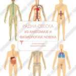 Z21724 Radna sveska iz anatomije i fiziologije za 1. razred medicinske škole