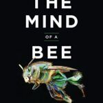 The Mind of a Bee
