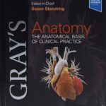 Gray's Anatomy, 42nd Edition