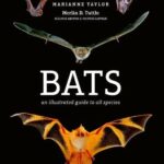 Bats : An illustrated guide to all species