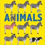 Spot the Difference: Animals (Board Book)