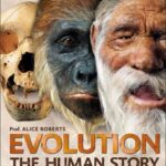 Evolution: The Human Story