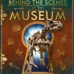 Behind the Scenes at the Museum