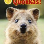 DK Readers Level 2: Meet the Quokkas