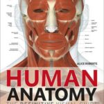 Human Anatomy