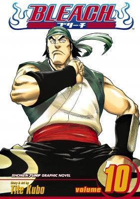 Bleach, Vol. 10