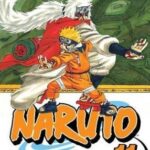Naruto 11 Pa
