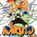 Naruto 12 Pa
