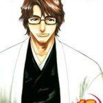 Bleach, Vol. 12