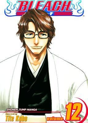 Bleach, Vol. 12