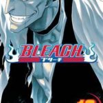 Bleach, Vol. 13