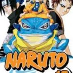 Naruto 13 Pa