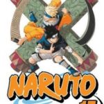 Naruto 17 Pa