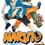 Naruto 22 Pa
