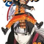 Naruto 33 Pa