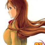 Bleach, Vol. 27