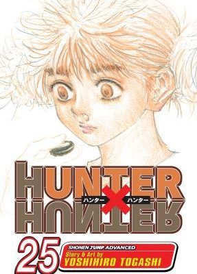 Hunter x Hunter, Vol. 25