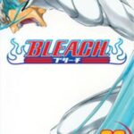 Bleach, Vol. 32