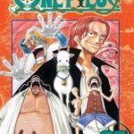 One Piece, Vol. 25