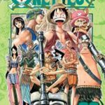 One Piece, Vol. 28