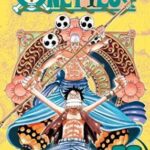 One Piece, Vol. 30
