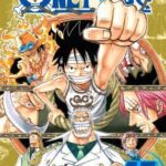 One Piece, Vol. 45