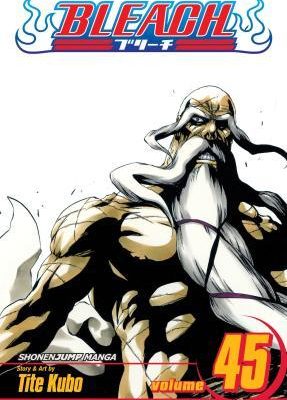 Bleach, Vol. 45