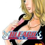 Bleach, Vol. 46