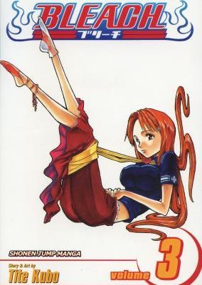 Bleach, Vol. 3