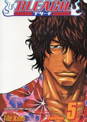 Bleach, Vol. 5