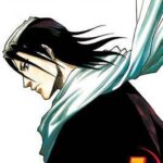 Bleach, Vol. 7