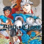 Black Clover, Vol. 12 Pa