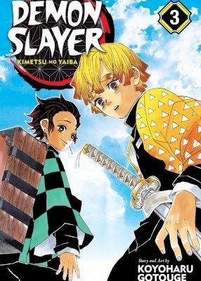 Demon Slayer: Kimetsu no Yaiba, Vol. 3