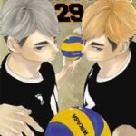 Haikyu!! Vol. 29