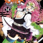 Demon Slayer V14 Pa