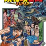 Dragon Ball Super, Vol. 13 Pa