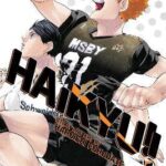 Haikyu!! Vol. 45