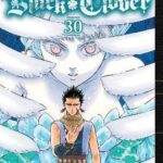 Black Clover, Vol. 30