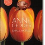 Anne Geddes : Small World