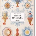 the art and science of ernest
