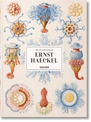 the art and science of ernest
